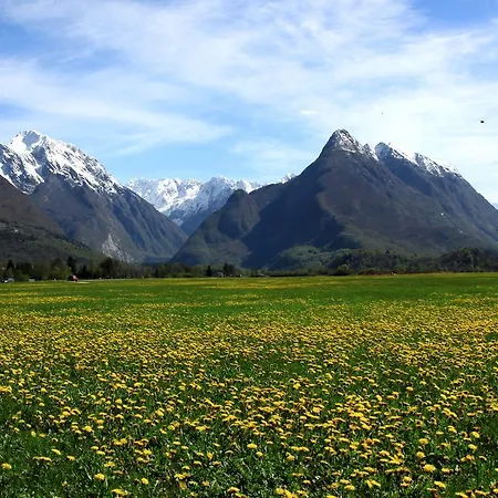 Bolita